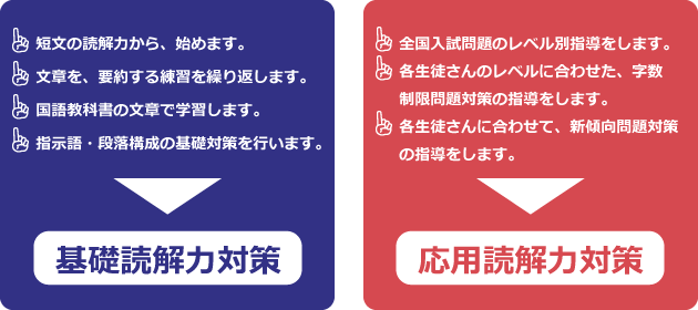 基礎読解力対策 応用読解力対策